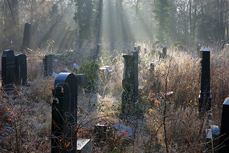 Sonnenfeld auf dem Friedhof