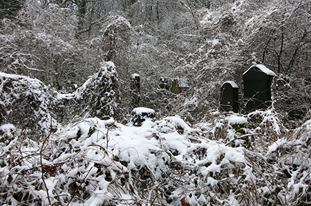 Vogelschutzfeld im Winter