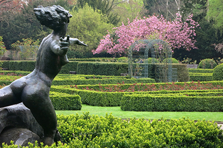 Rosengarten Humboldthain