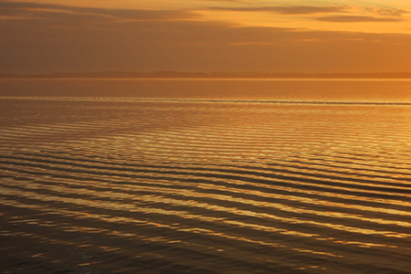 Meer in Goldf&auml;rbung
