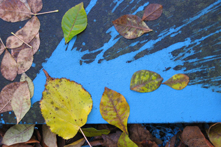 Fotografie blaue Farbexplosion